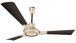 Ceiling fans are one of the most common appliances in every house in india. 10 Best Ceiling Fan Under 3000 Rupees In India Market Ceiling Fan Decorative Ceiling Fans Best Ceiling Fans