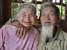 Image result for tÃ¬nh giÃ 