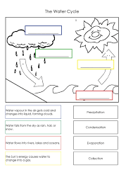 Pin By Anneli Lezar On Education Water Cycle Worksheet Water Cycle Plant Life Cycle Worksheet