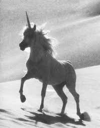 Another Unicorn Unicorn Unicorn Facts Mythical Creatures Real Unicorn