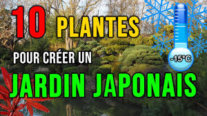 Les jardins japonais séduisent par leur ambiance zen et leur environnement harmonieux rempli de au premier plan, la végétation basse de différentes formes et couleurs , met en valeur les plantes. Jardin Japonais Quelles Plantes Choisir Pour Creer Un Jardin Japonais Resistants Au Froid Youtube