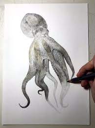 Illustrator Shares Step By Step Process To Create A Realistic Drawing Of An Octopus Realistic Drawings Octopus Drawing Drawings