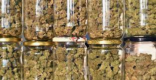 Tips On How To Keep Your Weed Fresh (Video) | Grow