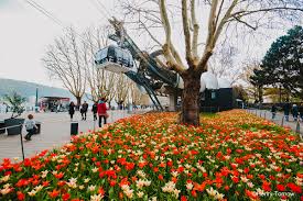 Hier findet ihr immer die aktuellsten infos zum anstehenden deutschen eck festival in koblenz. Seilbahn Koblenz Busreisen Cc