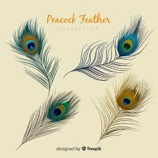 Download Modern Peacock Feather Collection With Realistic Design For Free Peacock Feather Art Feather Tattoo Design Peacock Wall Art