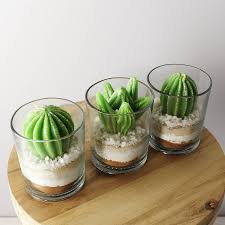 Cactus Potted Candle Cactus Pot Cactus Candles Cactus Terrarium