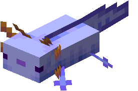 Beyond that and the creature starts to dry out and needs to be. Axolotl Official Minecraft Wiki