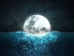 We did not find results for: Luna Piena In Acquario Luglio 2021 Intuitive Astrology Cammina Nel Sole