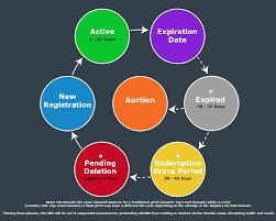 Understanding Domain Registration Hostgator Support