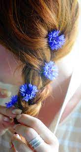 Pin By Mrs B On Cornflower Country Flower Field Beautiful Flowers Stylish Girl Images