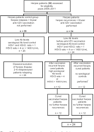 figure 3 from efficacy of the anti vzv anti hsv3 vaccine