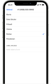Check spelling or type a new query. Menggunakan Dual Sim Dengan Dua Kartu Nano Sim Apple Support Id