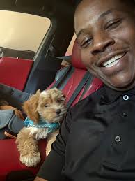 Afternoon all Me mam,s trying to remember the surname of the mon that bred  grey hounds in abbey village ,beyond the mill ponds . She thinks he was  called Harold and his