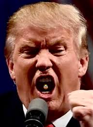 Trump's Border Demands and Edmonton Drug Bust