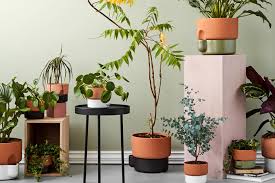 We are proud to offer customers throughout the united kingdom (and beyond) a. Best Plant Pots For Indoor Plants London Evening Standard Evening Standard
