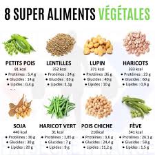 En effet, les graines sont riches en protéines mais toutes les espèces ne sont pas comestibles, certaines sont. Comment Maigrir Vite Et Definitivement Maigrir Perdredupoids Minceur Regime Perdreduventre Per Calories Des Aliments Alimentation Et Sante Alimentation