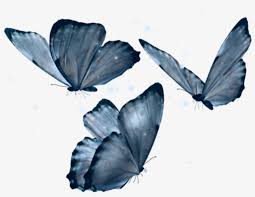Blue, monarch butterfly, monarch, butterfly, watercolor, orange, good vibes, college, nature, life, flower, summer, spring, happiness, happy, good butterfly, aesthetic, pastel butterfly, aesthetic butterfly, butterflies, kawaii, aesthetic pastel, pretty butterfly, pink butterfly, mariposas bonitas. Butterfly Art Filter Newbrushes Blue Aesthetic Transparent Butterfly Blue Png Image Transparent Png Free Download On Seekpng