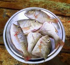 Trondro Nahandro Gasy Food Fish Meat
