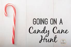 She holds her original cane upside down to form a hook and dangles the second cane from the hook of the first. Candy Cane Christmas Activites Go On A Candy Cane Hunt