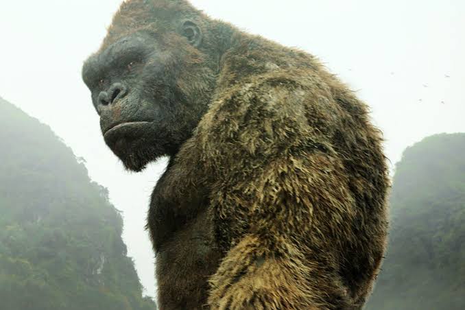 Kong: Skull Island' Wins Where Almost Every Other Reboot Fails Miserably |  WIRED