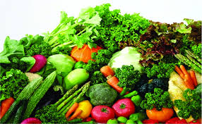 Image result for RAU MẦM CẢI XANH