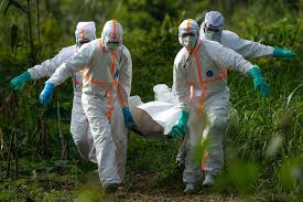 The 2014 ebola virus epidemic in west africa has implications for the world. Amid A New Outbreak Book Revisits Ebola S Ravages