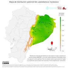 Tiene su origen en aequitas (equidad), (el diptongo ae se pronunció e en el. Amphibiaweb Leptodactylus Mystaceus