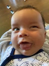 Kingston at 5 years old 120lbs