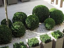 Pin By Wendy Diaz Metz On Gardens Topiary Garden Garden Design Unique Plants