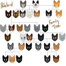 Palebird Family Tree By Nightmaresparckle Family Tree Warrior Cats Tree
