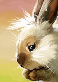 Pin By Iris Adolfsdottir On Lapins Animal Paintings Bunny Art Animals