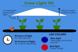 However, just like cfls, they won't deliver crazy yields, but they are reliable. Using A Grow Light To Start Seeds Indoors Grow Lights Grow Lights For Plants Led Grow Lights