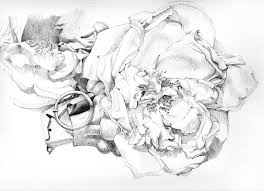 Donata Napoli Saatchi Art