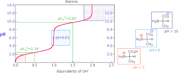 23 3 The Acid Base Properties Of Amino Acids Chemistry