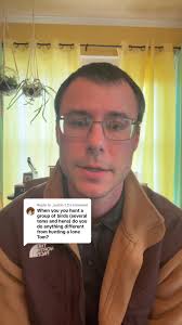 Replying to @_austin.7.3 sometimes dealing with a #turkey that is in a  group can be more challenging that dealing with a turkey by himself, but  getting the “boss” hen to work towards you often works ...