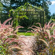 A garden centre (commonwealth english spelling; Home Gardening Center Plant Talk