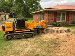 Attachments for tractors and excavators. Montgomery Tree And Stump Stump Grinder Company