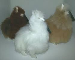 Our fur bears, other toys and other fur products are made of real alpaca fur. Alpaca Stuffed Animal 4 Quarry Critters Alpaca Ranch
