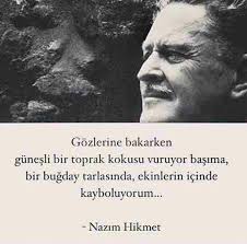 Gozlerine Bakarken Gunesli Bir Toptak Kokusu Vuruyor Basima Bir Bugday Tarlasinda Ekinlerin Icinde Kayboluyorum Nazim Hikmet Yazarlar Edebiyat Guzel Soz