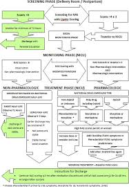 Screening And Treatment Algorithm For Neonatal Abstinence Syndrome For Download Scientific Diagram