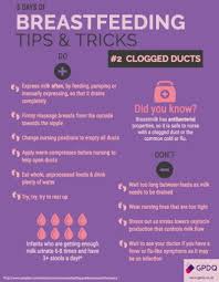 Losyen calamine boleh disapu untuk mengurangkan kegatalan bayi. Tips Tangani Bengkak Susu Dengan Cepat Plugged Ducts