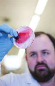 Annual Report 2022/2023