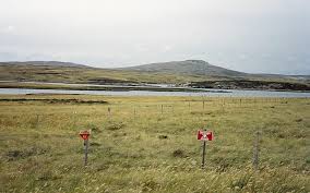 Image result for Maigruen 1982 Fleet