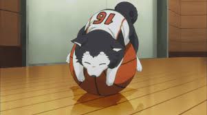 11 Anime Dog Gifs To Make You Feel Warm My Otaku World Animated photo albums and videos of many kinds of animals cre: my otaku world