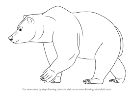 Maybe you would like to learn more about one of these? Learn How To Draw A Brown Bear Wild Animals Step By Step Drawing Tutorials