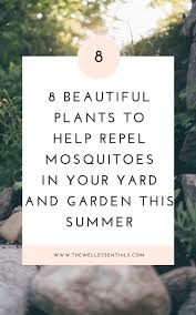 We did not find results for: 8 Beautiful Plants To Help Repel Mosquitoes In Your Yard