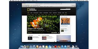 Safari For Mac Iphone Ipad Imac Osx App