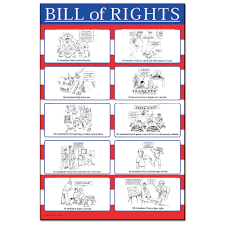 bill of rights chart teaching government bill of rights