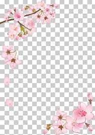 Cherry Blossom Png Images Cherry Blossom Clipart Free Download Cherry Blossom Blossom Free Clip Art