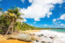 Our first purobeach opened in june 2005 and very soon known as the icon of wellbeing as well as being a superb place to socialize. Puerto Rico Orte Strande Der Karibik Insel Entdecken